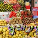 비젼태권도 이미지