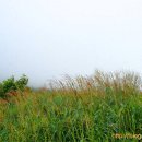 바람과노래 이미지