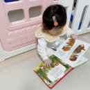 [영어사운드북 추천] Usborne 세계명작동화 – 생후 6개월부터 사용한 공구 구매 후기