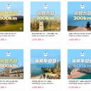 까미노 | 산티아고 순례길 가이드북 대신 까미노여행사 비용 일정 후기