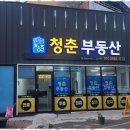 영대천마공인중개사사무소 | 영대부동산 영남대 주변 좋은방은 청춘부동산에 맡기세요