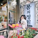 자연 애개 이미지