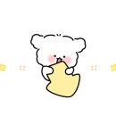 인더시즌(Intheseason) 이미지