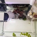 서울팀아쿠아수족관