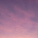 D마트 베이커리 이미지