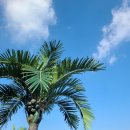 하늘관광농원펜션 이미지