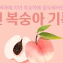 웅이네 과수원