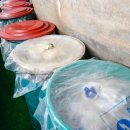 신토불이 광천토굴새우젓 이미지