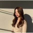미용실하루