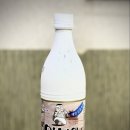 속초세꼬시 이미지