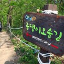 푸른하루