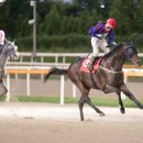 우승축산 이미지