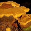 부부농장 이미지