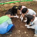 밀양아리솔학교 이미지