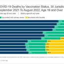 美CDC 데이터 - 예방 접종을 받은 사람들이 COVID-19 사망의 대부분을 차지. 이미지