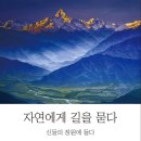 자연이묻다 이미지