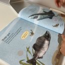 문해력 쑥쑥 독서놀이 이미지