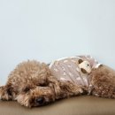 놀러오개 서대문점 이미지