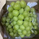 &#39;수원 농수산물시장&#39; 대하 제철에 즐겨야 제맛!