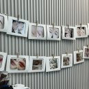 벨르뮤 강남역점 눈썹 속눈썹펌 연장 이미지