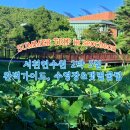 GS25 충남서천점 | 충남 아이와 가볼만한 곳 : 서천연수원 2박 3일 숙박후기(수영장, 갯벌체험 준비물, 명당객실 꿀팁)