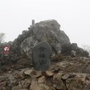 황매산 벚꽃길 이미지