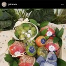자인담 이미지