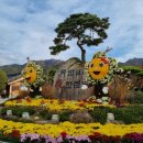 영암국민체육센터 이미지