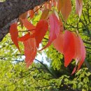 삶, 수필이다 이미지