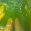 뽑고뽑고게임장 | 겨울 온천 여행 레스트리 리솜 해브나인 노천 스파 스톤 G50 클린형 숙소 이용 후기