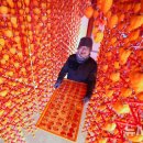 지리산곰실곶감농원 이미지