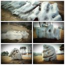 세계무술공원 이미지