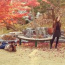 일상을 노래하다 네이버블로그