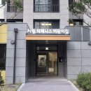 제니스 이미지