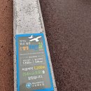 코리아둘레길75차 남파랑길56코스 55코스 54-2코스 여수구간(역순) 이미지