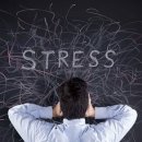 웰릭스렌탈(주) 이미지