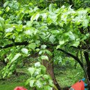 산본어린이집 이미지