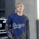 더베인 이미지