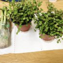 김상후이비인후과의원 이미지