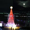 달맞이 Daum카페