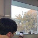 행운애 이미지