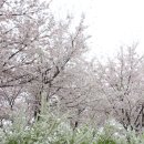 선유도역 1번 출입구 이미지