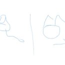 엠핏