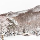 유성사 이미지