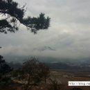 신덕고분군 이미지