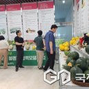 소과담