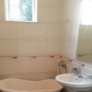 용인별바라기 이미지