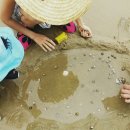 행복의 집 가동 | 안면도 자연 휴양림 + 꽃지해수욕장 +운여해변