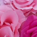 가나다농장 이미지