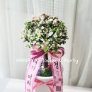 목화헤어샵 이미지